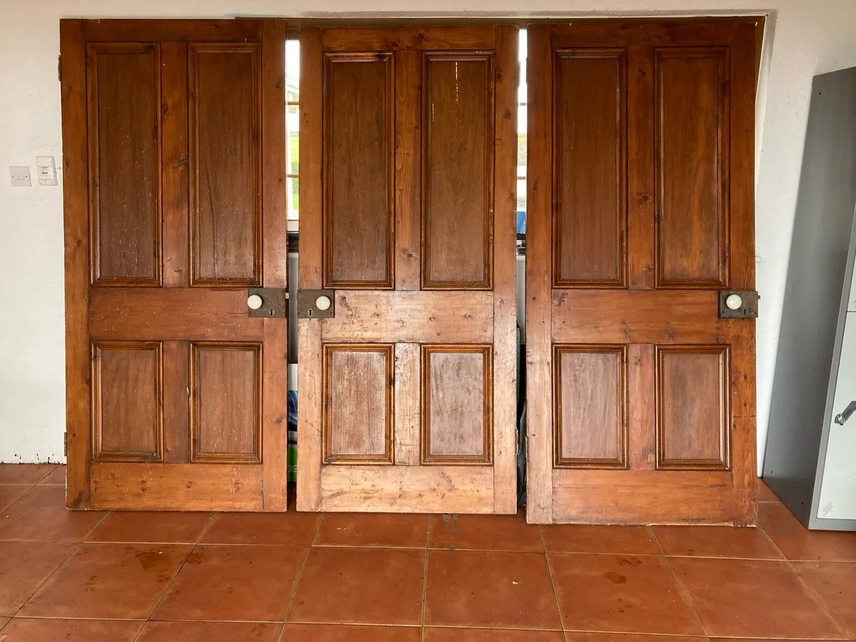 Antique panel doors - Image 1