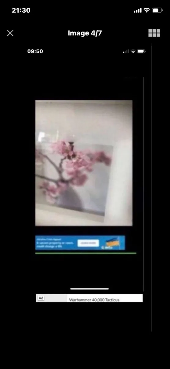 Framed Floral Prints - Image 4