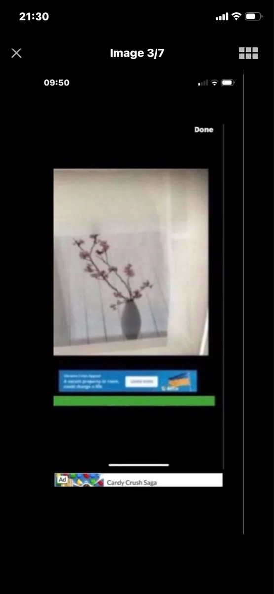 Framed Floral Prints - Image 3