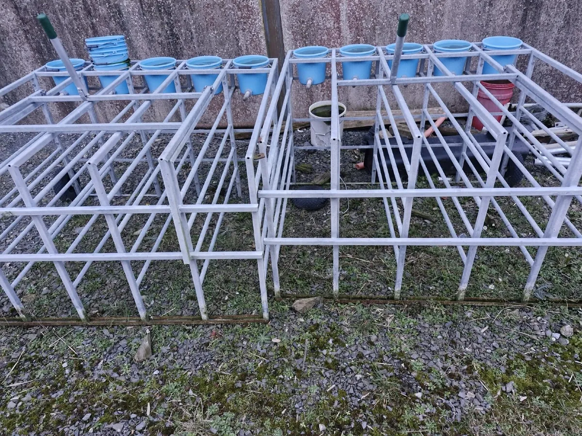 Calf Starter Box - Image 2