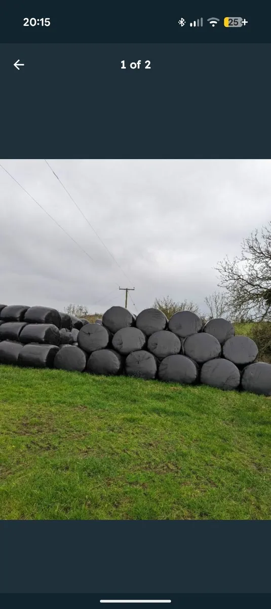 Round bale Silage - Image 3