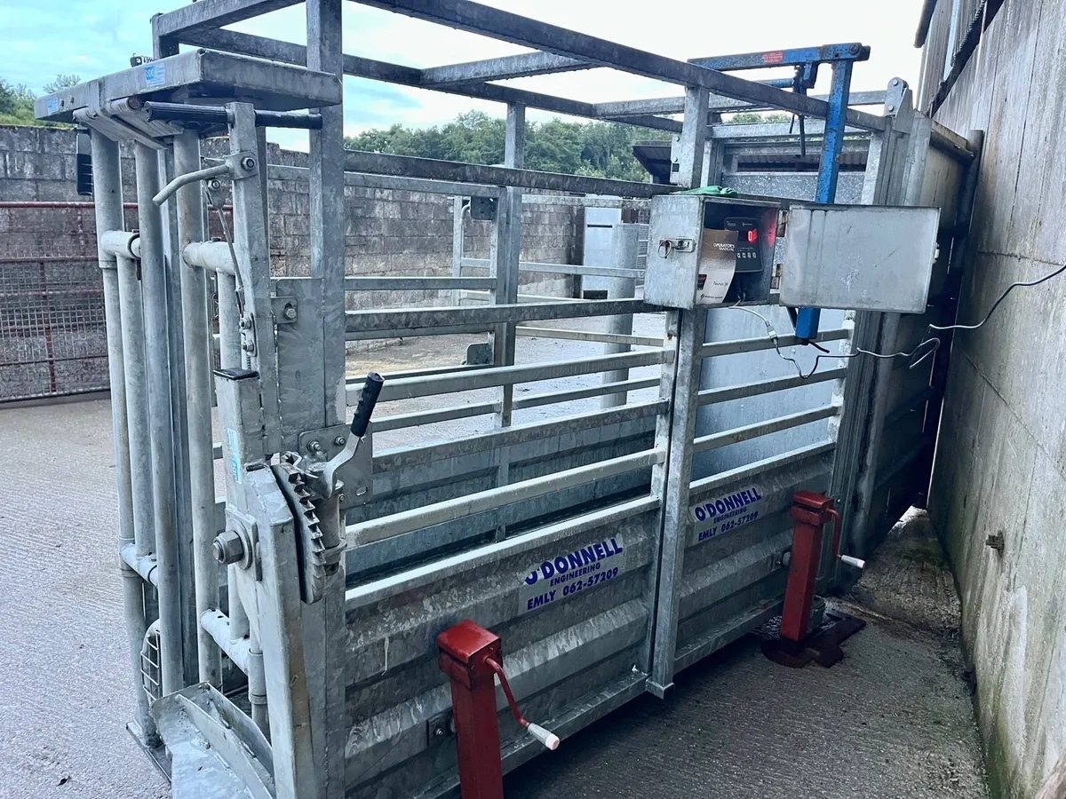 Cattle Crush and Weighing Crate - Image 2