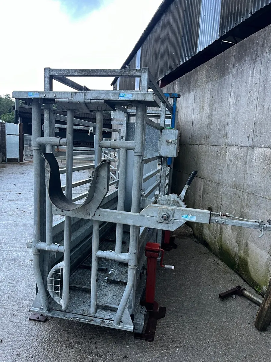Cattle Crush and Weighing Crate - Image 4