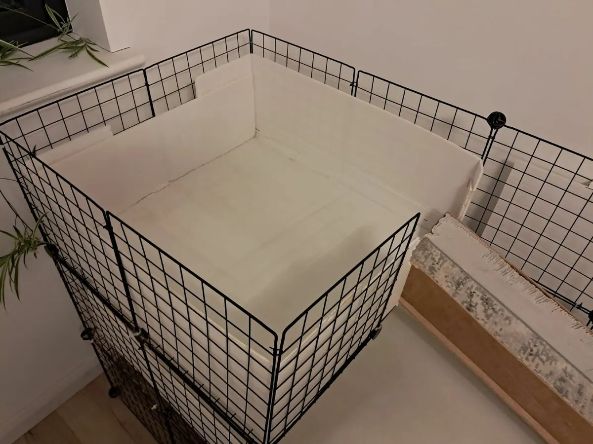Guinea pig cage - Image 2