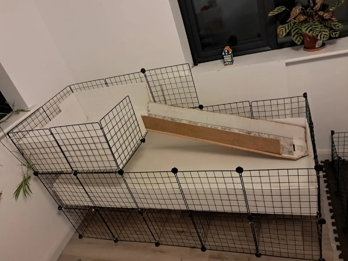 Guinea pig cage - Image 1