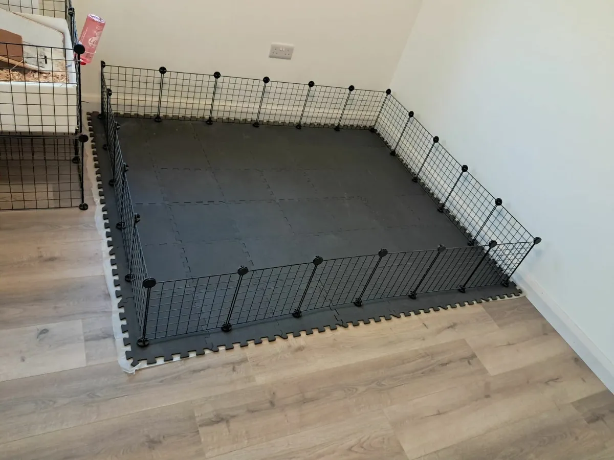Guinea pig cage - Image 3