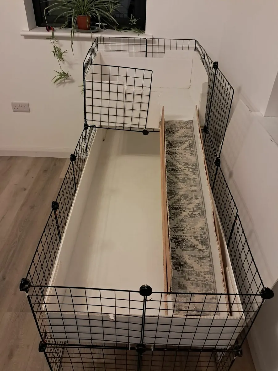 Guinea pig cage - Image 4