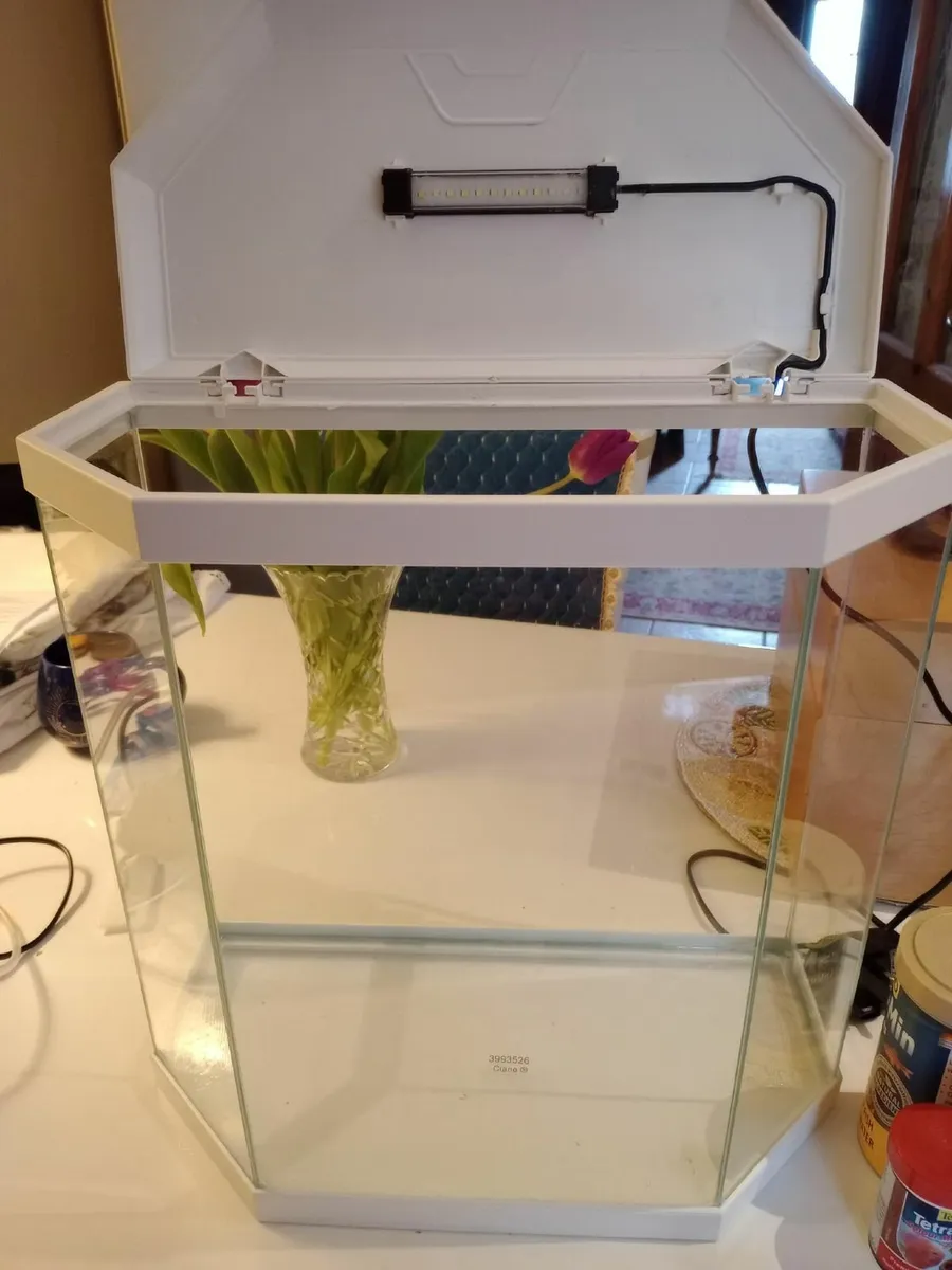 FISH TANK - Image 1
