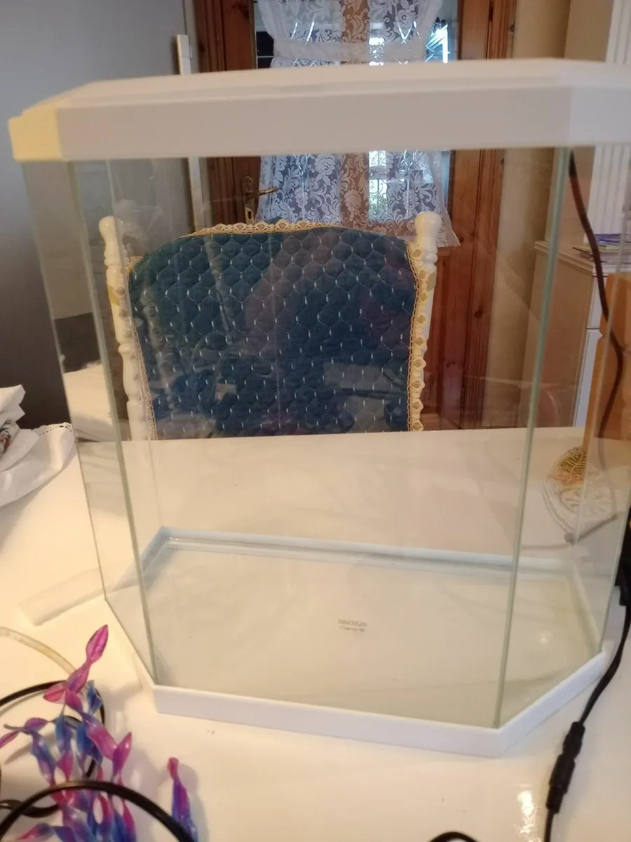 FISH TANK - Image 2