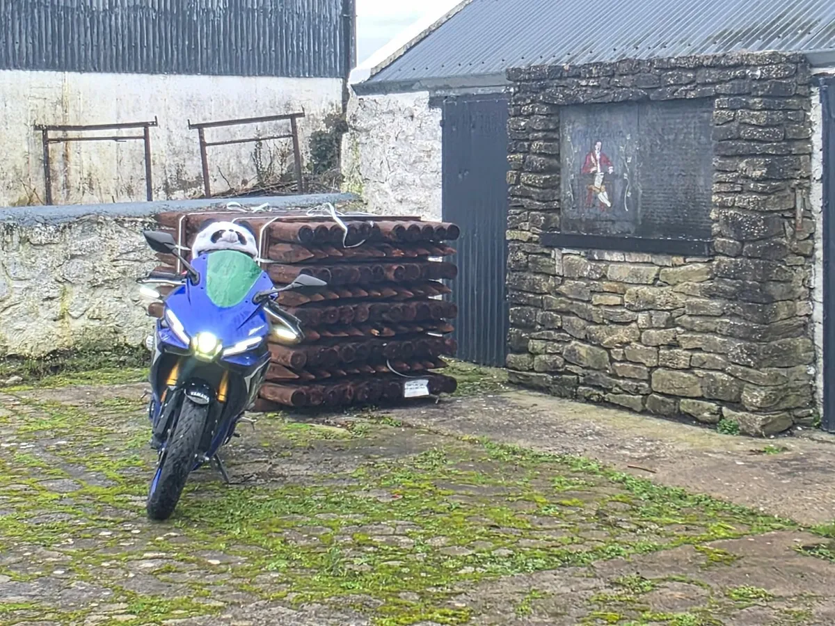 YAMAHA r3 2025 - Image 3