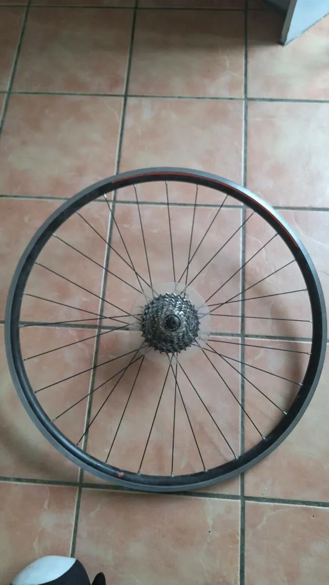 Axel Rims Race 24 with Shimano 105 - Image 3