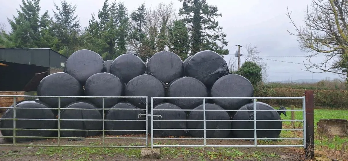 Silage - Image 1