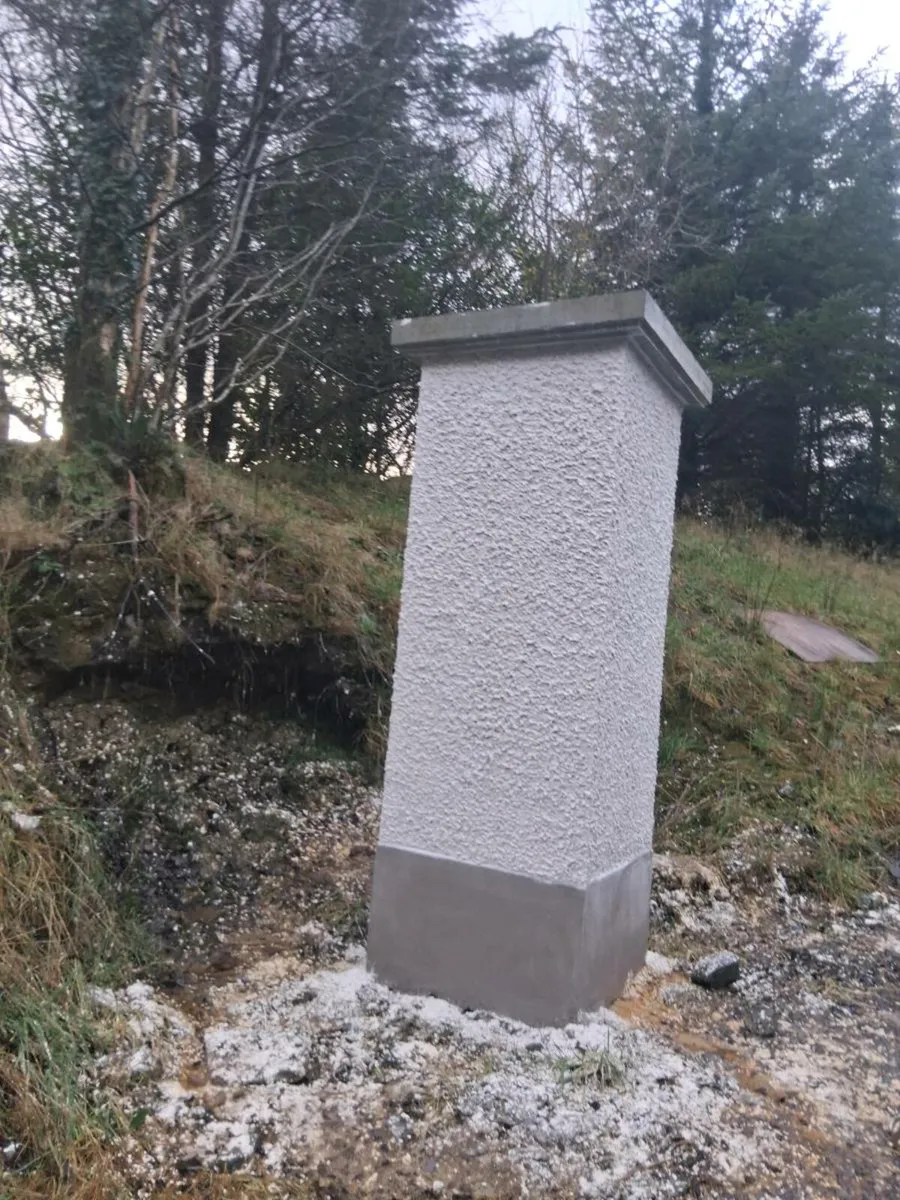 Plastering building home improvements - Image 4