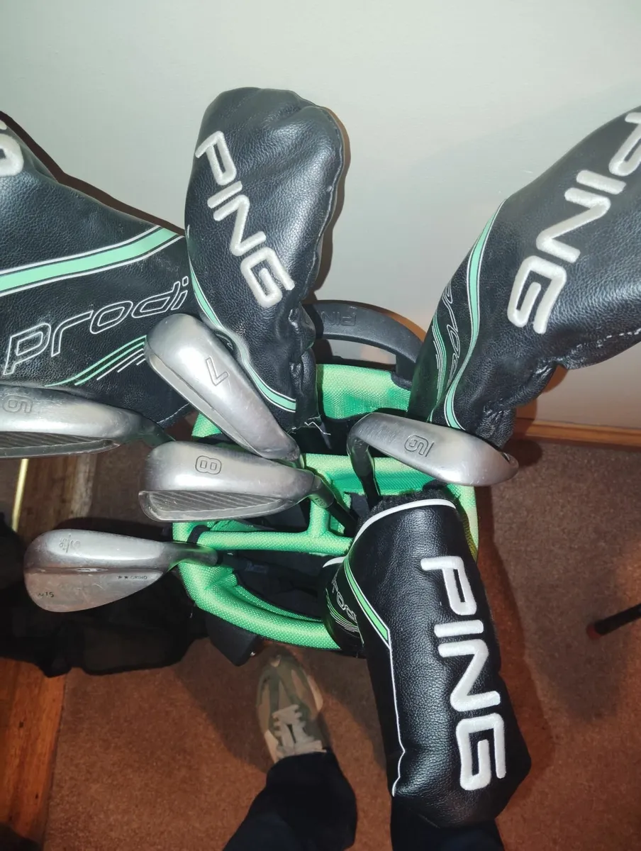 Junior Golf Clubs - Image 1