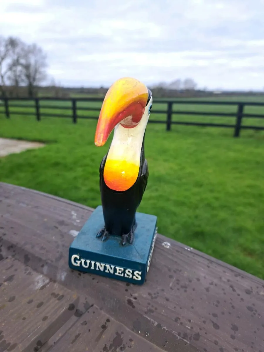 Guinness  toucan  mid size - Image 2