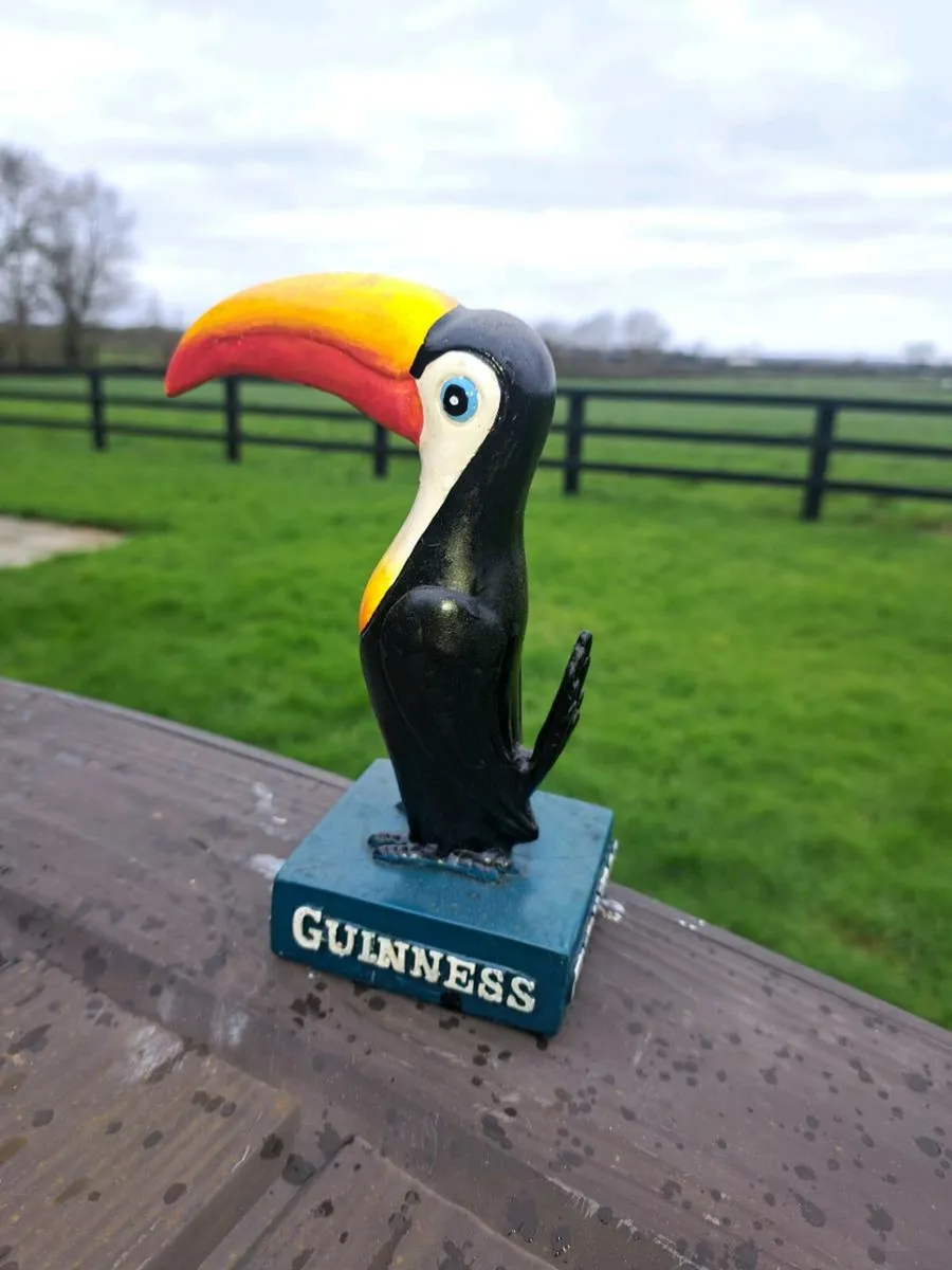 Guinness  toucan  mid size - Image 3