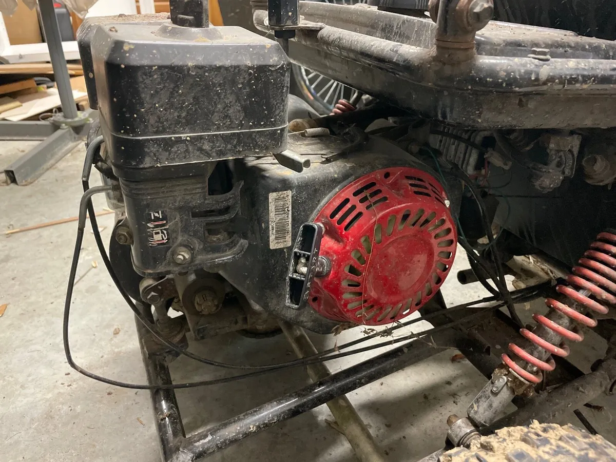 Quadzilla Wolf Junior - Image 2