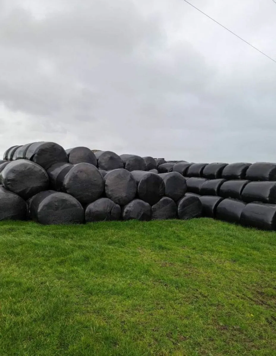 Round bale Silage - Image 1