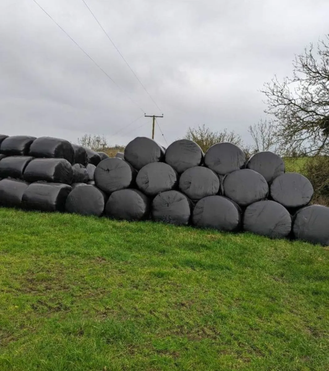 Round bale Silage - Image 2