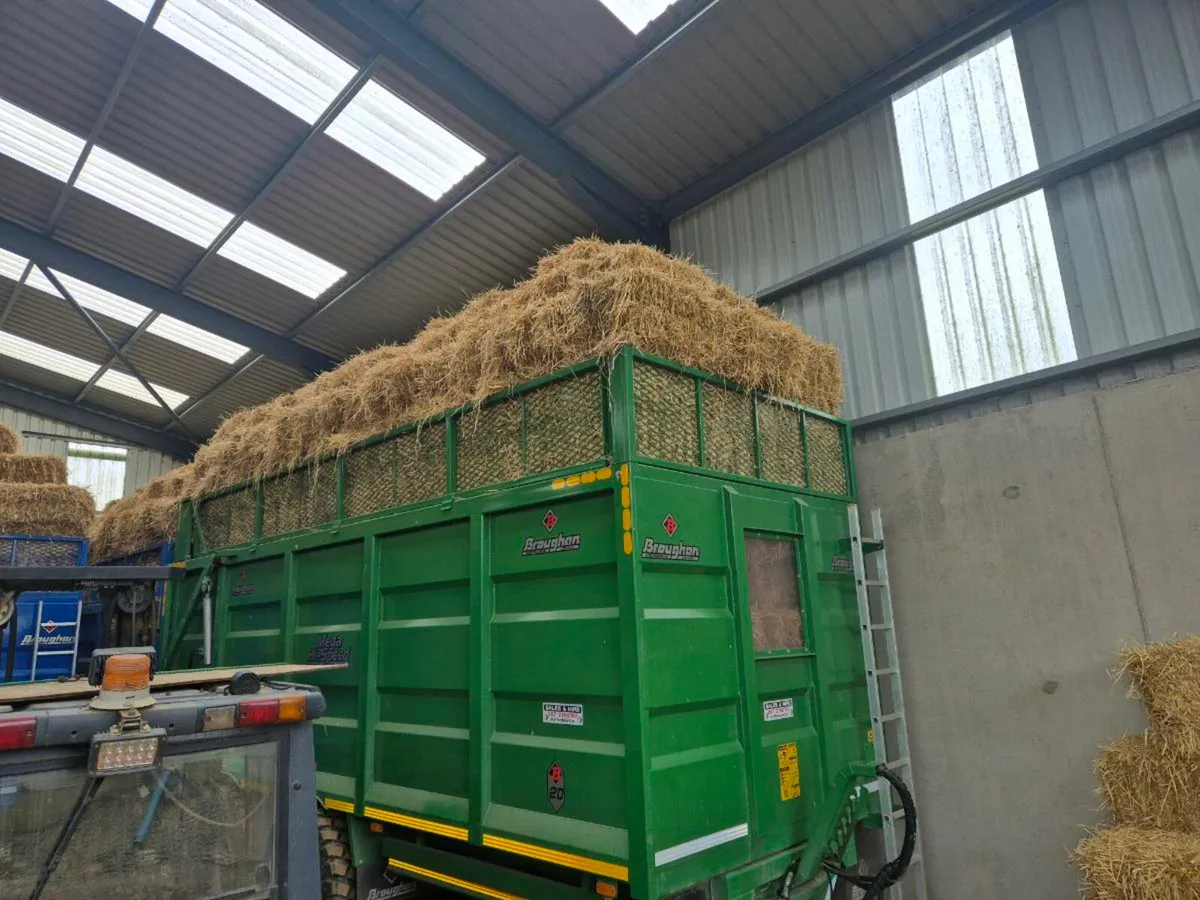 Square bales of straw for sale. €4 can deliver - Image 2