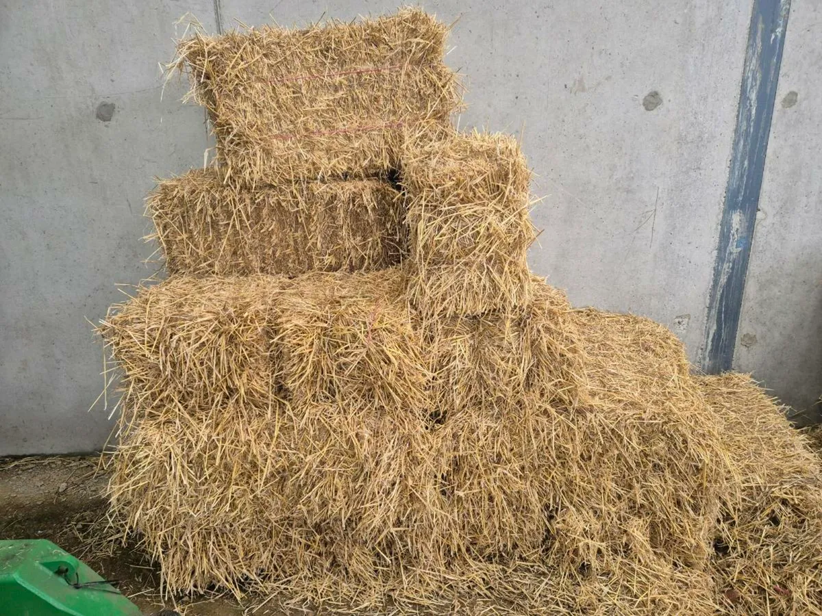 Square bales of straw for sale. €4 can deliver - Image 3