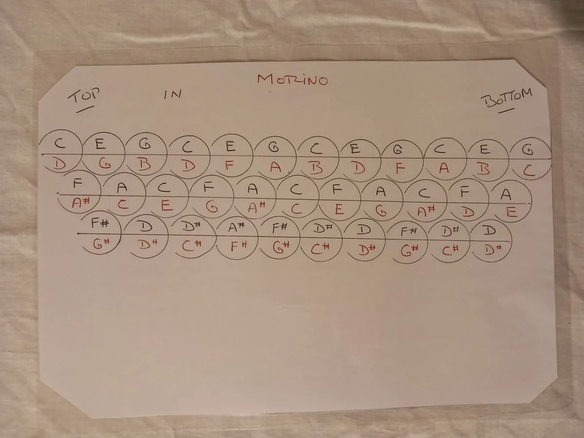 HOHNER MORINO CLUB ACCORDION - Image 3