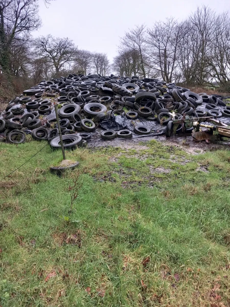 First cut pit silage - Image 2