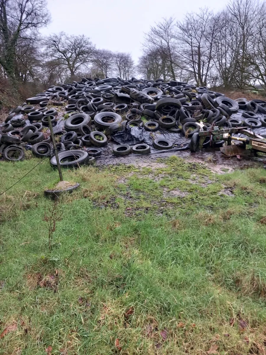 First cut pit silage - Image 1