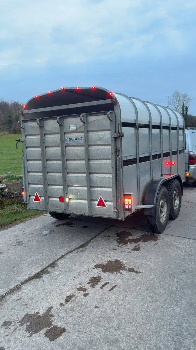 Nugent 12 x 6 Cattle / Sheep Trailer - Image 4
