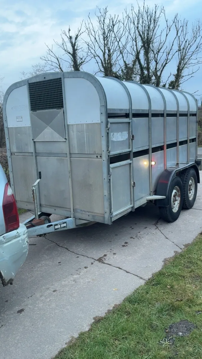 Nugent 12 x 6 Cattle / Sheep Trailer - Image 1