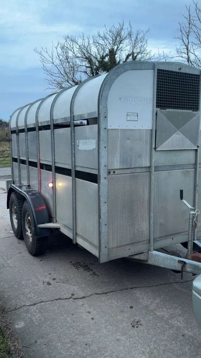 Nugent 12 x 6 Cattle / Sheep Trailer - Image 2
