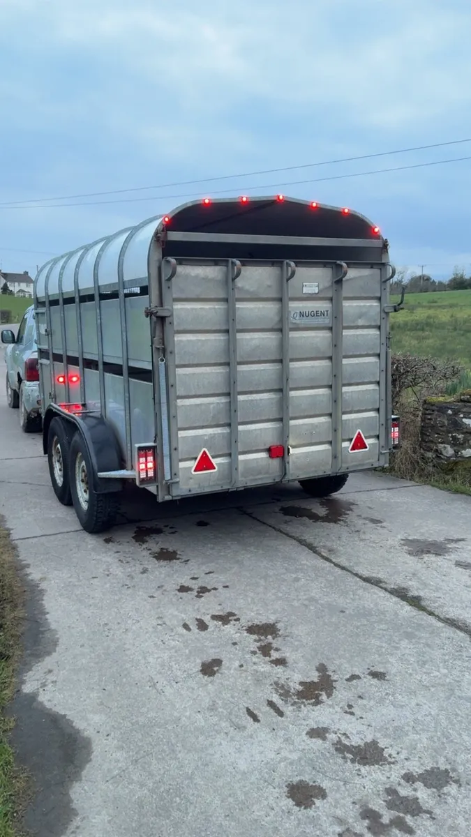 Nugent 12 x 6 Cattle / Sheep Trailer - Image 3