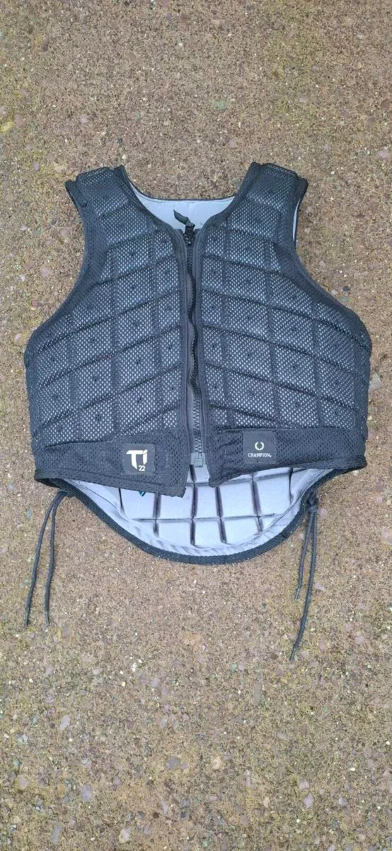 Champion Ti22 back protector - Image 1