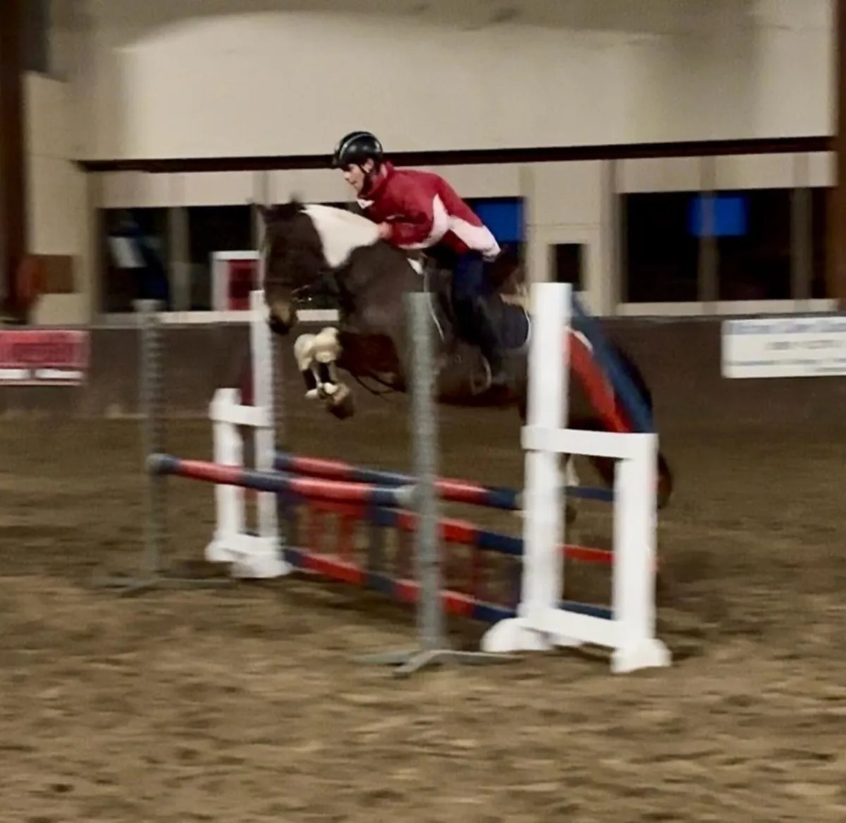 Fantastic 13.2 pony - Image 2