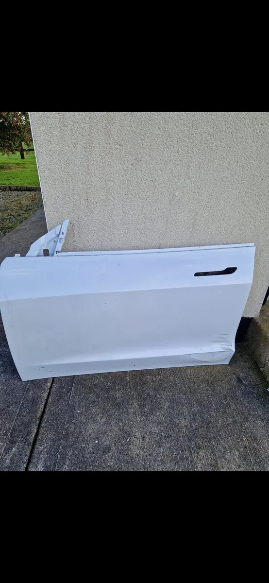 Tesla model 3 Front  Passenger Door - Image 1