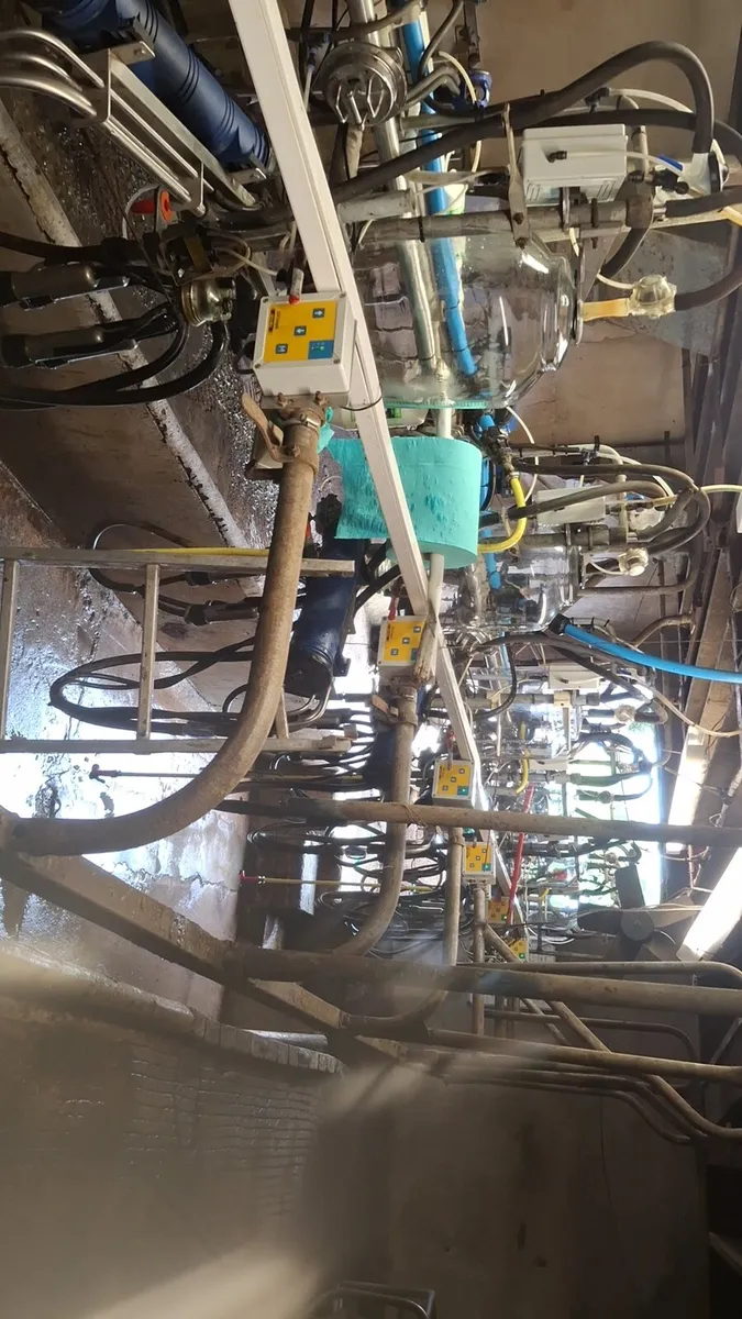 7 point milking parlour - Image 1
