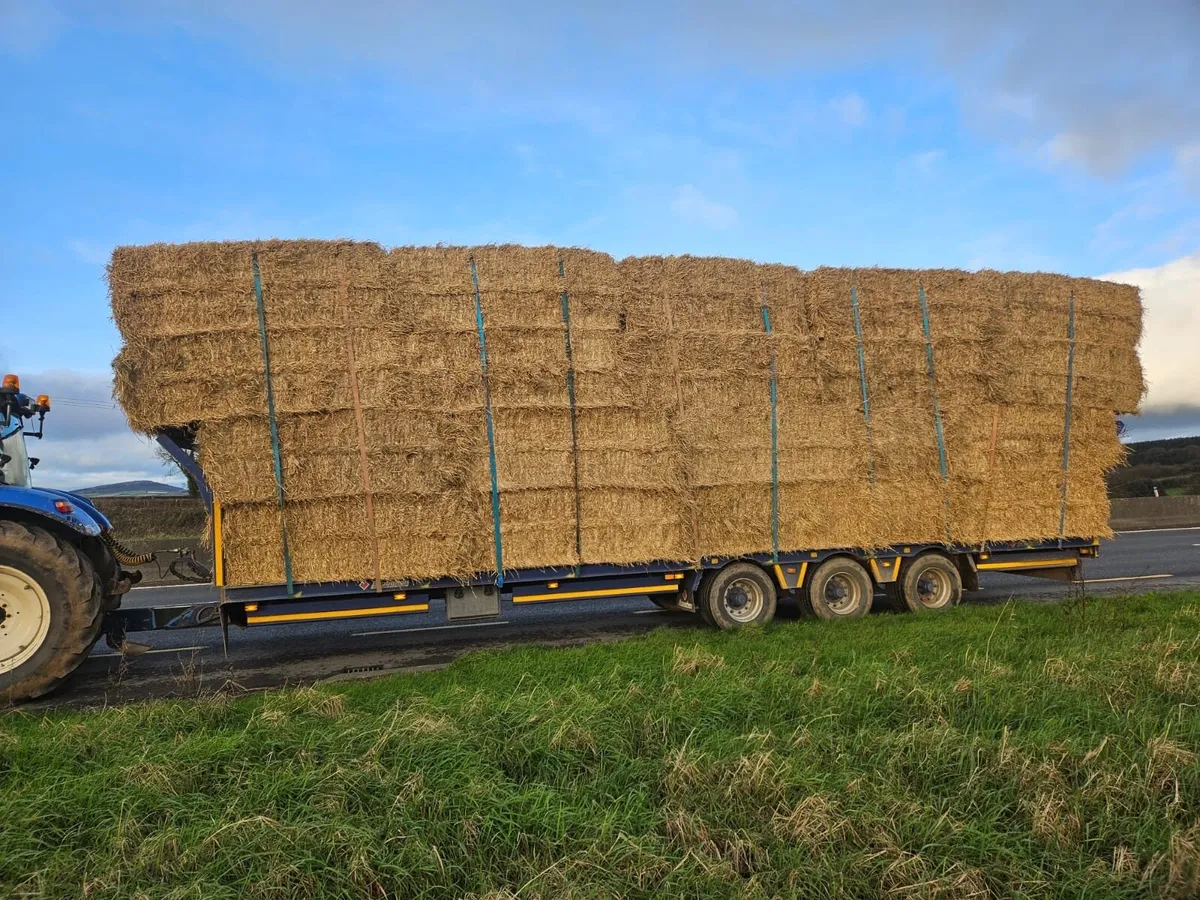 Straw square and round - Image 2