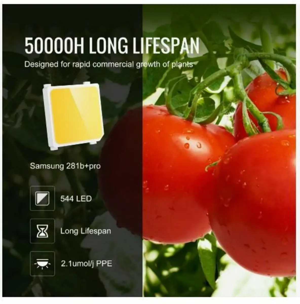 LED Grow Light, 200W Full Spectrum Dimmable - Image 3