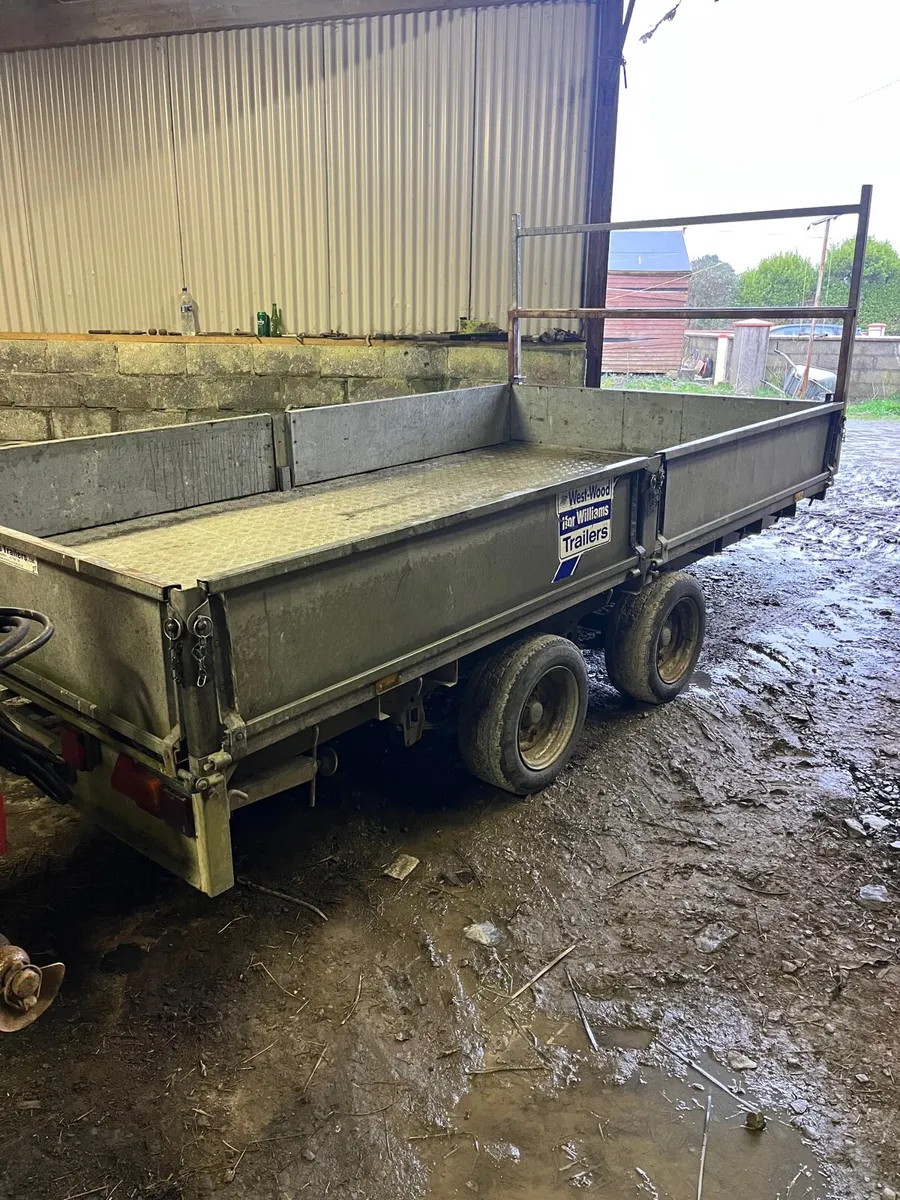 Ifor Williams 12 x 6’6” - Image 2