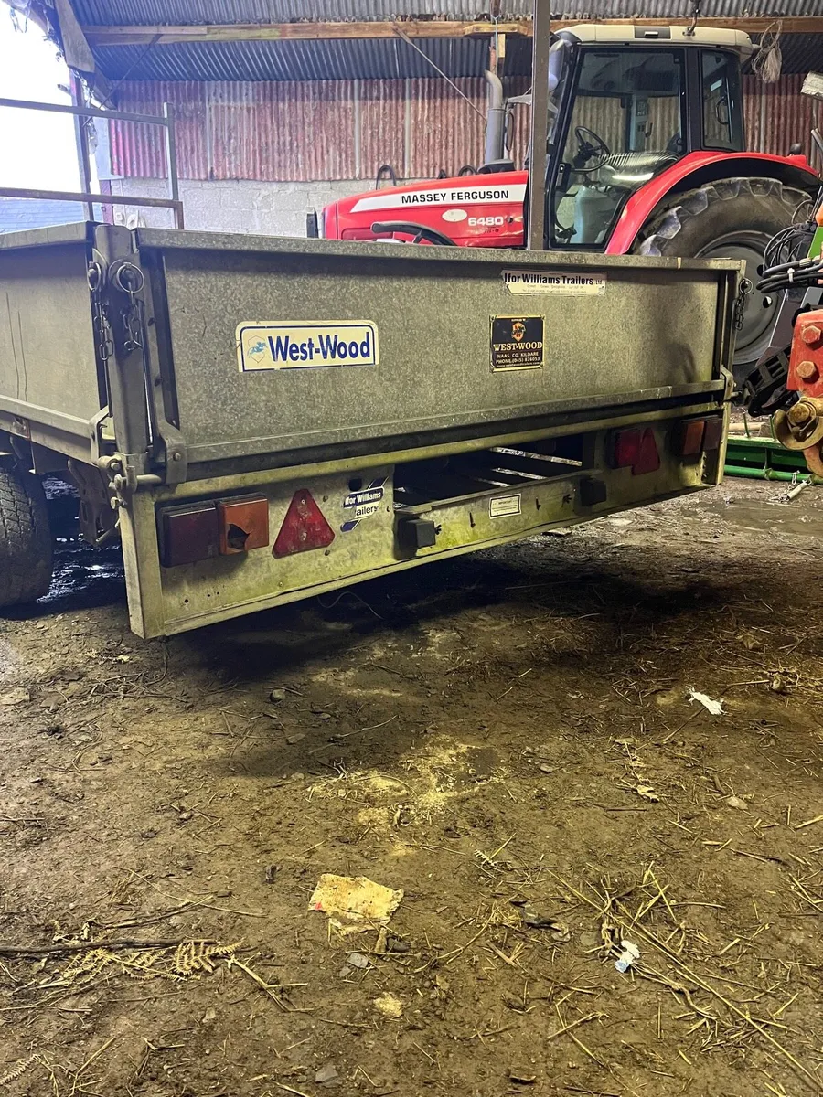 Ifor Williams 12 x 6’6” - Image 4