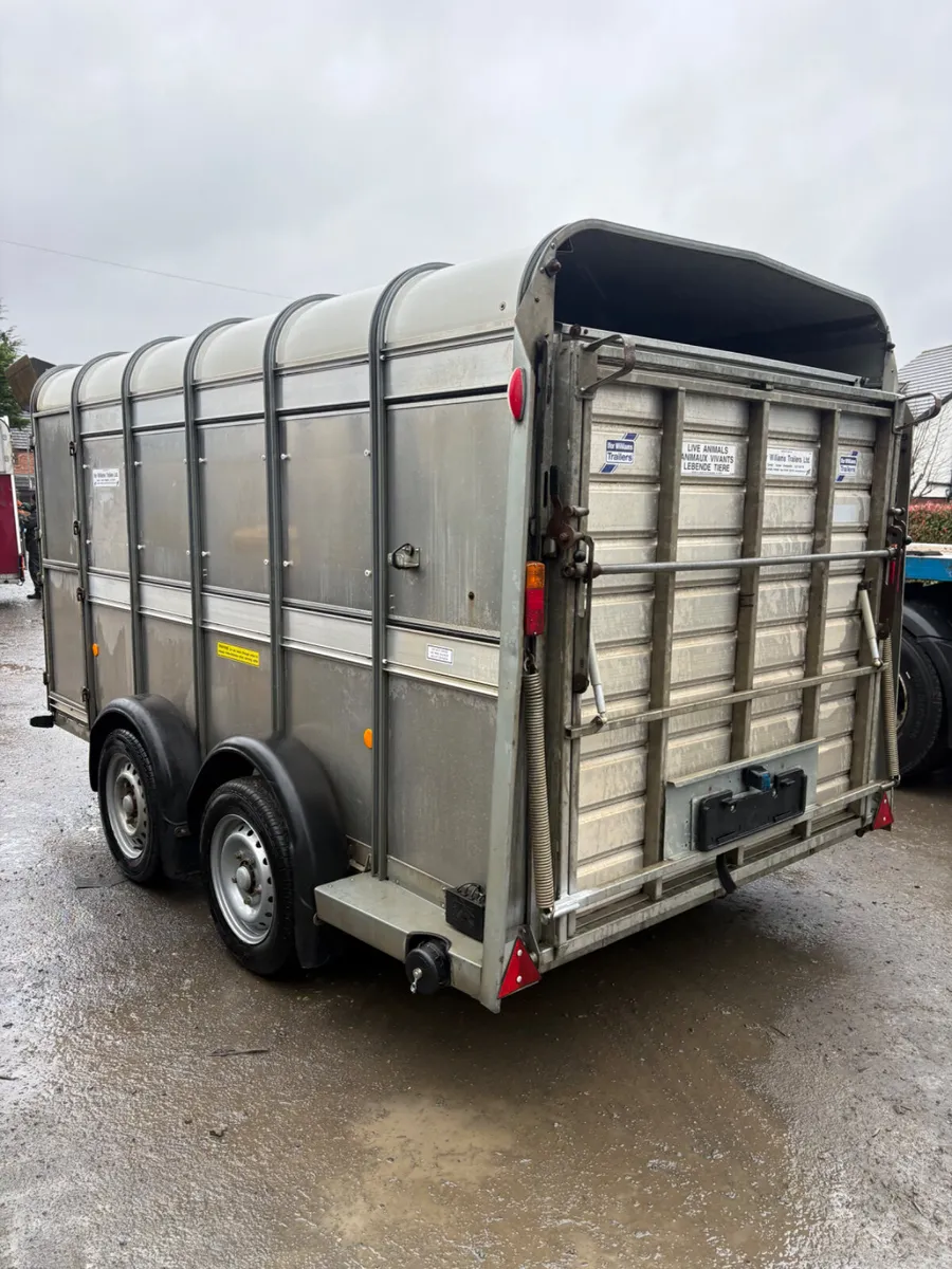 Ifor Williams 12ft cattle trailer - Image 3