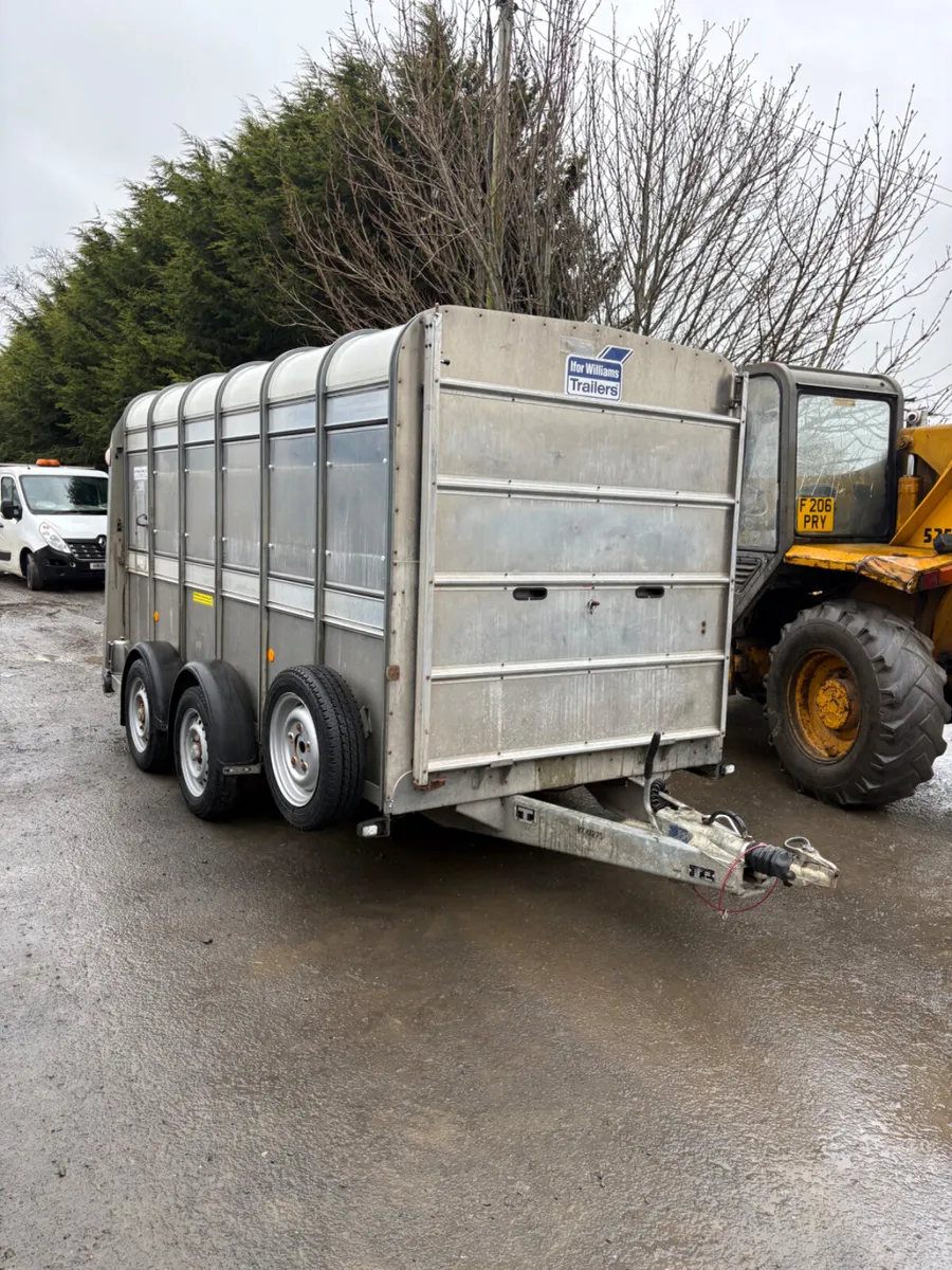 Ifor Williams 12ft cattle trailer - Image 1