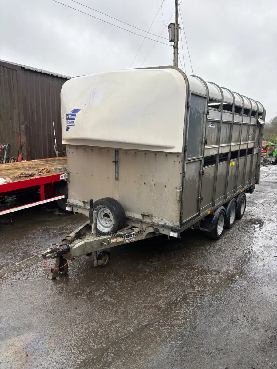 Ifor Williams 14ft DP cattle trailer - Image 1