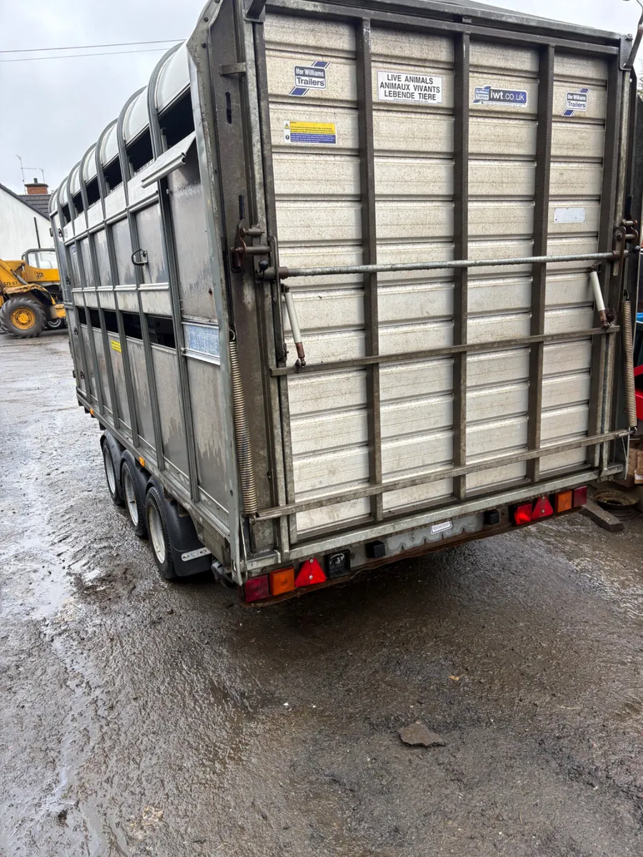 Ifor Williams 14ft DP cattle trailer - Image 2
