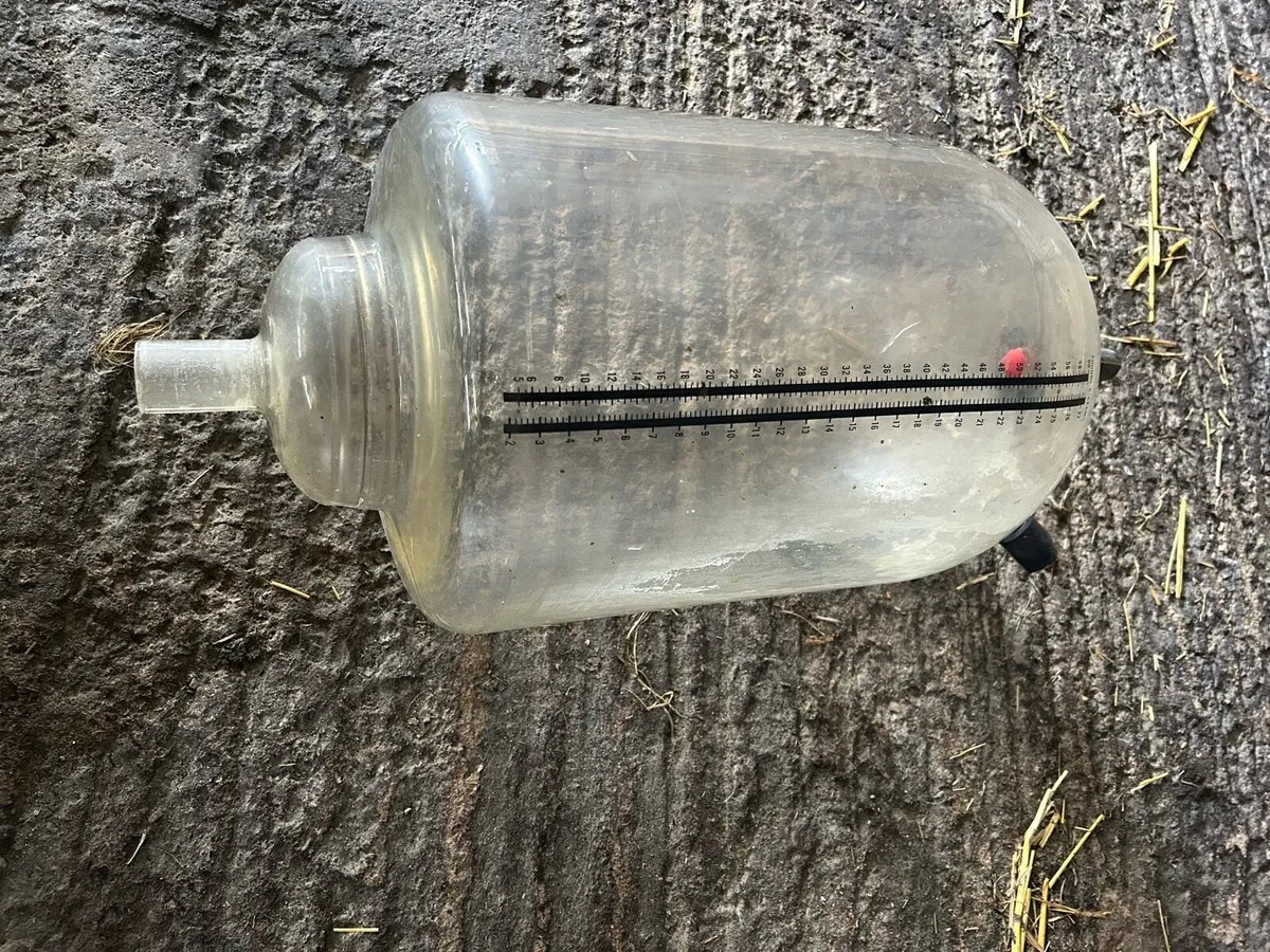 Milking jars - Image 3