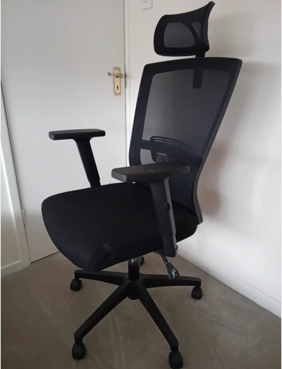 Ergonomic Office Chair - Image 1