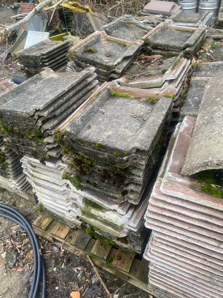 Wessex roof tiles - Image 1