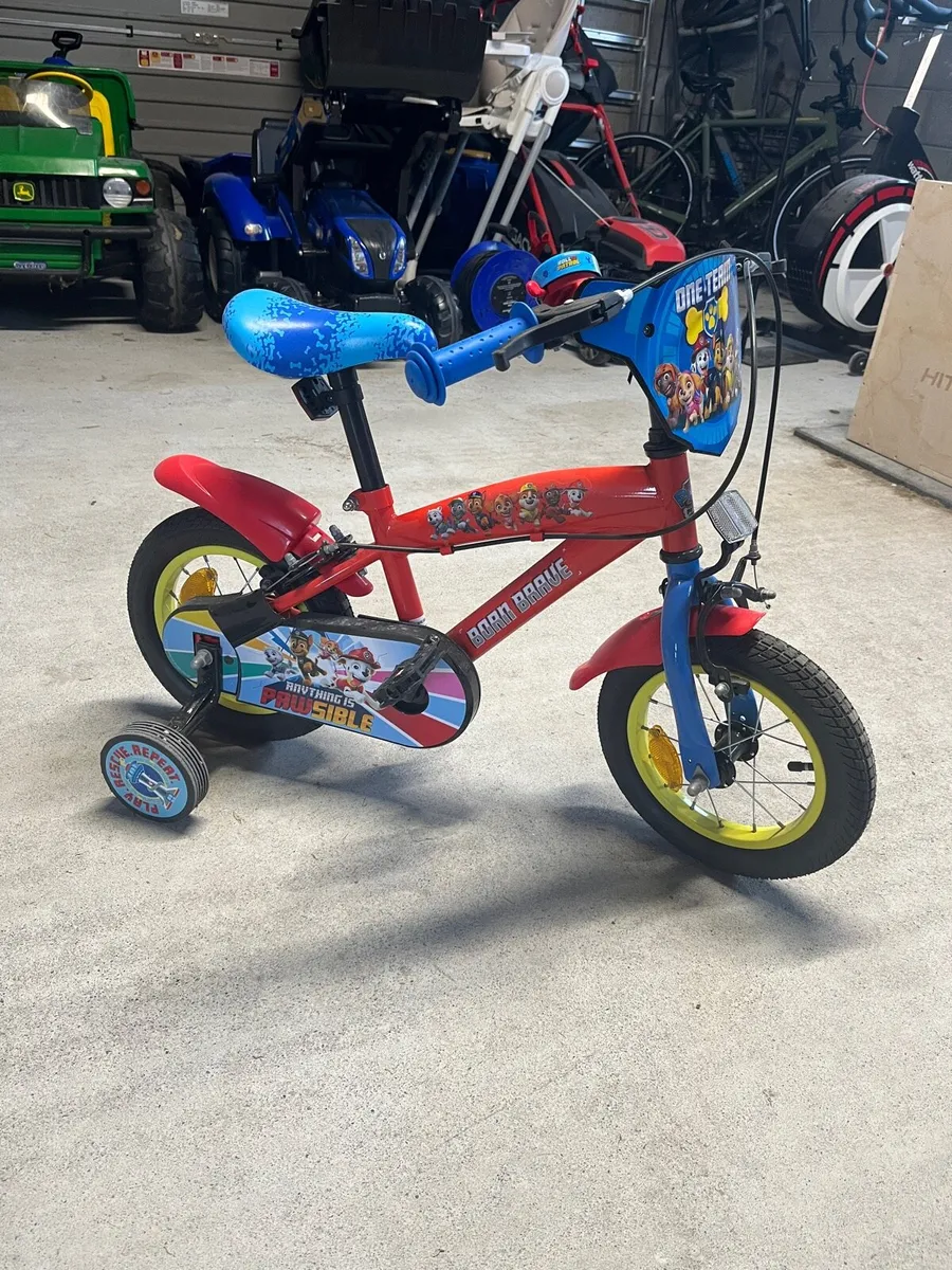 Paw Patrol Bike