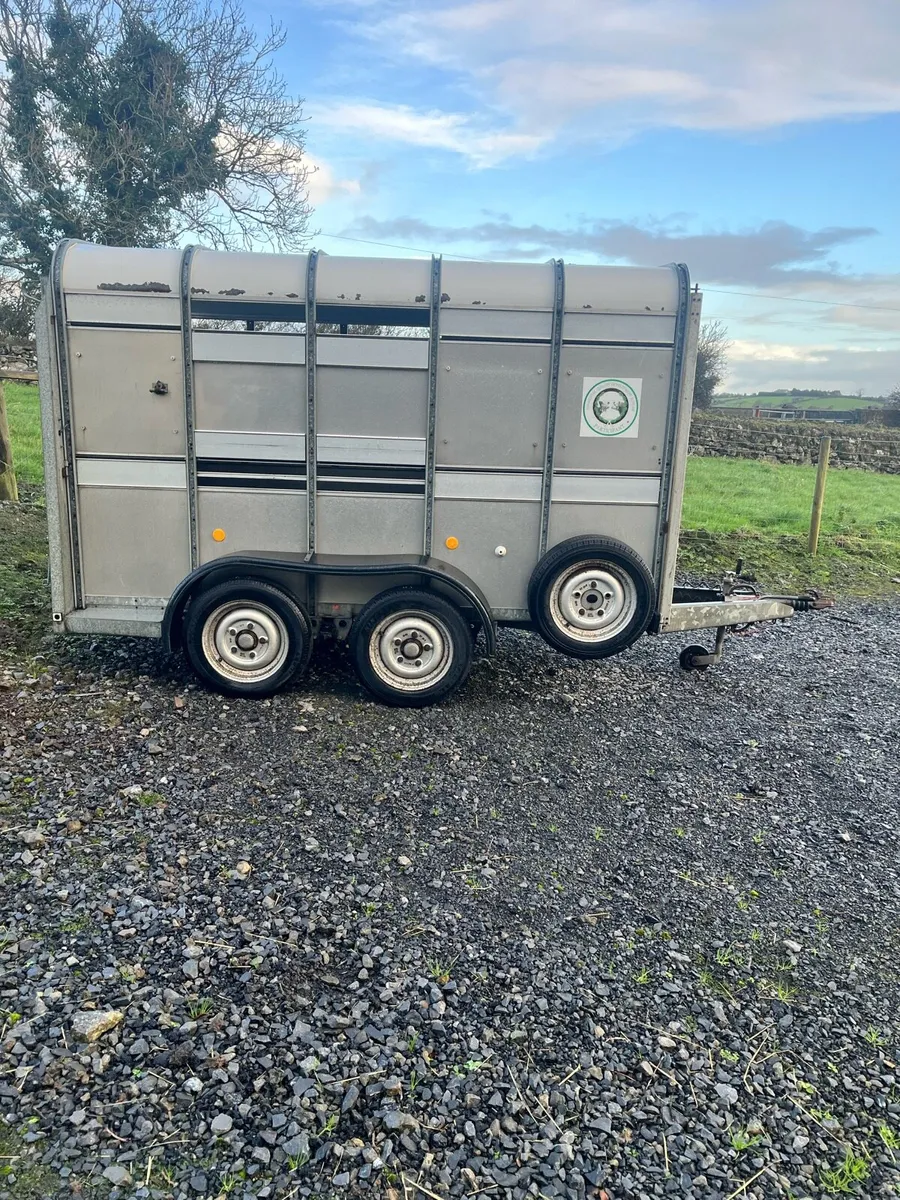 Ifor Williams livestock trailer - Image 2