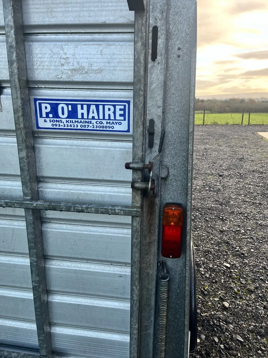 Ifor Williams livestock trailer - Image 3
